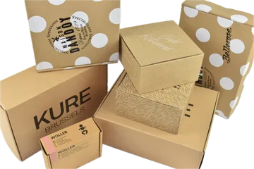 Expressleverans Lådor i Zwijnaarde Belgien